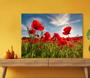 Field of Red Poppy 5mm thick Plastic Poster Ready to Hang 60x45cm - Imagen 1 de 3