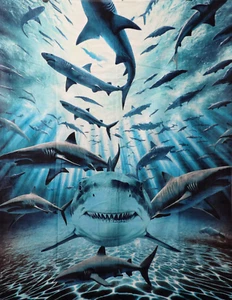 Manta de terciopelo Shark Frenzy toalla de playa 54' x 68' 100 % algodón - Imagen 1 de 2