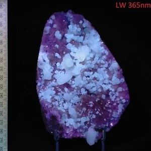 Calcite phosphorescent & fluorescent long & short wave semi-geode specimen 0.7kg - Foto 1 di 11