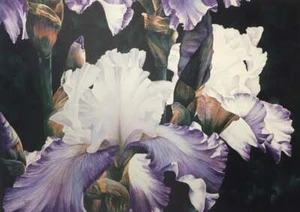 Arleta Pech - Flirtation - S/N Lithograph - Signed - MINT - Picture 1 of 1
