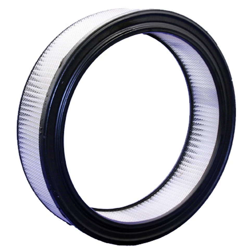 Filtro de aire Bosch 5451WS para camioneta E150 E250 E350 F150 camioneta F250 F350 Econoline Foto 1 de 1