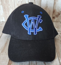 Windy City Thunderbolts Minor League Baseball Hat Cap