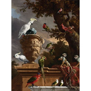 Hondecoeter Menagerie Exotische Vögel Papageien großer Druck 46x61 cm - Bild 1 von 5