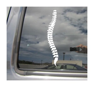 Chiropratico Spine - Adesivo per finestra decalcomania vinile auto camion 10711 - Foto 1 di 2