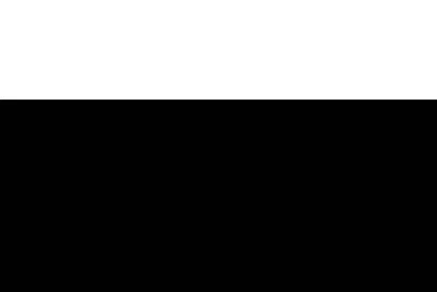 Ram Status MK V #2 Iron / Regular Flex Steel Shaft - Image 1 of 4