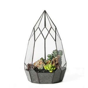 Modern Tabletop Black Glass Geometric Terrarium Container - Balcony Planter D... - Picture 1 of 7