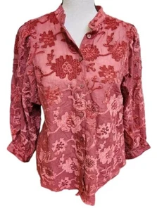 Pilcro Anthropologie Wine Blouse XS NWT MSRP $148 Slightly Sheer Velvet - Picture 1 of 10