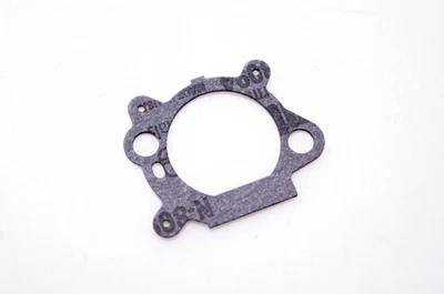 Junta Briggs & Stratton 795629 nueva OEM Foto 1 de 3