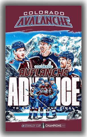 Colorado Avalanche Hockey Team Champions Flag 90x150cm 3x5ft Fan Best banner Cover