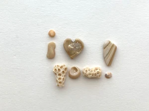 Natürliche Buchstabenform "I ❤️DU!" Strand Muscheln Wort Kunst Handwerk Schild Muschel USA - Bild 1 von 13