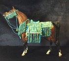 Native Arabian Costume