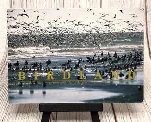 Bird Land Outer Banks North Carolina NC Postcard - Picture 1 of 4