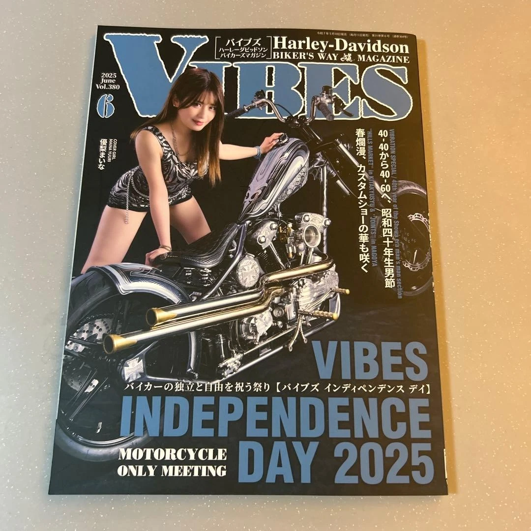 Motorcycle VIBE Magazines in Japanese for sale | eBay