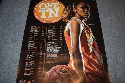 TEXAS LONGHORNS 2013-14 WOMENS BASKETBALL POSTER Cover