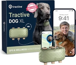 Tractive Dog XL GPS Tracker for Large Dogs, Green - Picture 1 of 7
