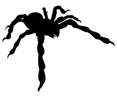 mobo-racing RC-Aufkleber Decal Sticker Spinne 01 klein - geplottet und freistehe