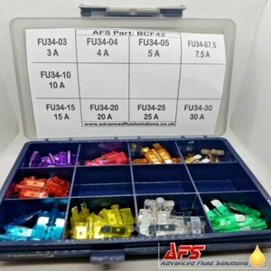 Fusible de hoja Automotive Tell Tale 73 piezas surtido BCF42 fusibles de soplo y brillo AFS del Reino Unido - Imagen 1 de 1