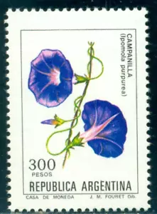 1982 Campanilla, Purple morning glory,Ipomoea,Flowers,Argentina,Mi.1559,MNH - Picture 1 of 1