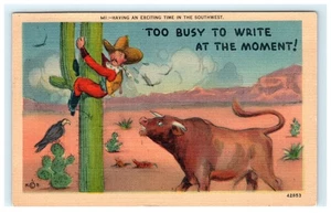 Vintage Südwesten Cowboy kletternder Kaktus humorvolle Postkarte Litho - Bild 1 von 2