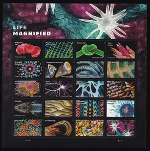 Scott #5802 Life Magnified Sheet of 20 Forever Stamps - MNH UV Tagging - Picture 1 of 2