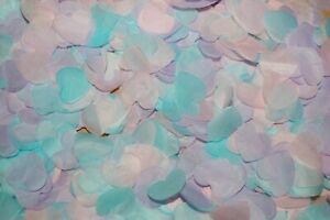 Biodegradable Confetti - Lavender, Baby Blue & Baby Pink - You can add cones?