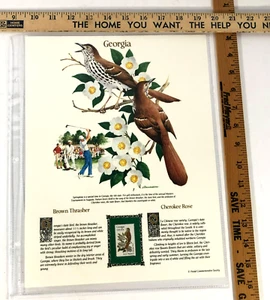 Georgia Commemorative Mint-Stamp Postal Commemorative Society Collectable. - Picture 1 of 1