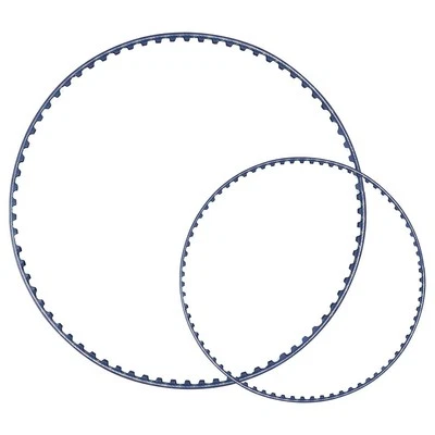 Kit Courroie Longue Durée pour Polaris/380 Maintenir Nettoyage Optimal Piscine