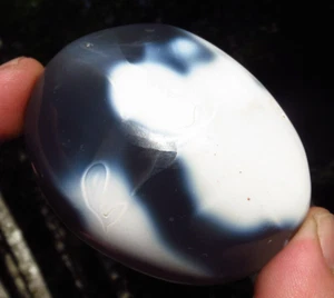 ORCA AGATE POLISHED HEALING WAVES OF THE WHALE CRYSTAL PALMSTONE MADAGASCAR *6 - Picture 1 of 7