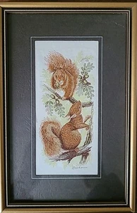 J & J Cash's Silk Woven Picture of 2 Red Squirrels 15.5 x 23.5 cm - Picture 1 of 7