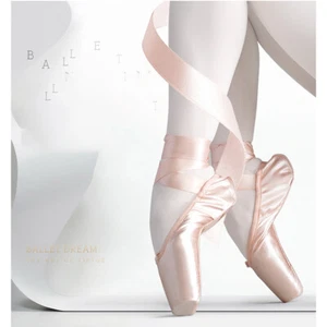 Girls Womens Professional Ballet Dance Toe Pointe Shoes Hard Sole Satin Ribbon - Picture 1 of 25