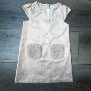 NWT Gymboree Metallic Girls Dress Faux Fur Pocket Whimsical Fairy Girlhood Pink - Picture 1 of 7