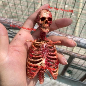 1/6 Half-body Flesh Blood Skeleton Human Model for 12" Action Figure Accessory - Picture 1 of 13