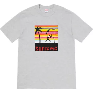 T-shirt Supreme 21SS Dunk grigio erica taglia L - Foto 1 di 2