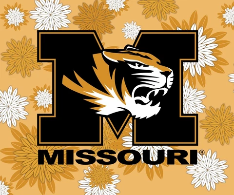 MISSOURI 5" X 6" FLORAL MAGNET-MIZZOU TIGERS CAR MAGNET-NEW FOR 2016 Cover