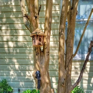 Vogelhäuser aus Holz zum Aufhängen Kardinal Nistkasten Natur Bluebird - Bild 1 von 7