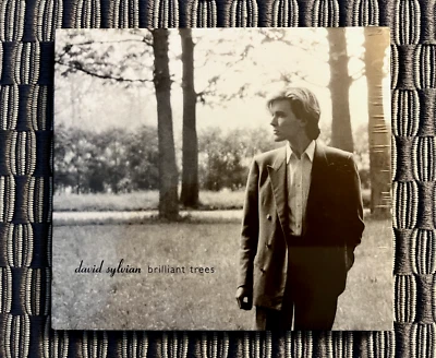 Brilliant Trees by David Sylvian (CD, 2003, Virgin Records, UK) BRAND NEW - Image 1 of 4