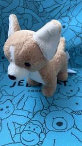 Jellycat BNWT Isobel Chihuahua Genuino Raro - Imagen 1 de 10