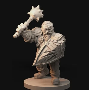 Man at Arms Dwarf Marauder Fighter Barbarian Paladin Miniature | D&D DnD - Picture 1 of 1