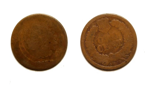 1865 Indian head cent -  AG  #552 Cover