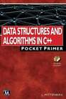 Data Structures And Algorithms In C++: Pocket Primer By Lee Wittenberg: Used