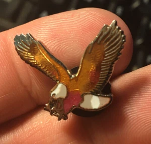 Bald Eagle Hawk enamel pin NOS enamel pin predator prey NEW outlaw birds lapel - Picture 1 of 2