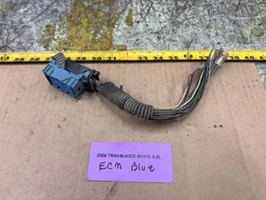 02-09 Trailblazer ECM Blue Wiring Connector - Foto 1 di 19