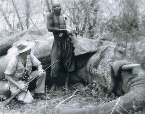 ANTIQUE HUNTING REPRO 8X10 PHOTO OF MAN AFRICAN ELEPHANT WINCHESTER 1895 RIFLE - Picture 1 of 1