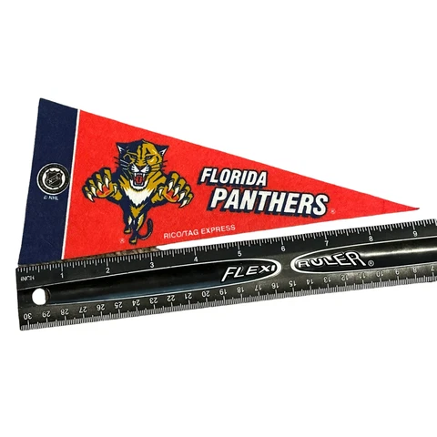 Florida Panthers Mini Pennants, 4" x 9" - Licensed by Rico - Made In USA Cover