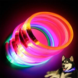Colorful LED Dog Collar Rechargeable Waterproof Medium Pet Necklace Night Safety - Imagen 1 de 20