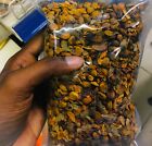Ceylon Organic Dried Ranawara Mal /Avaram Senna/Sun Herbal TEA 50g