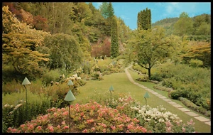 Victoria, BC., Canada, Giardino sommerso, The Butchart Gardens, cartolina cromata - Foto 1 di 2