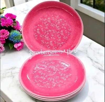 Juego de 4 platos de cena Nicole Miller rosa blanco floral micro flor verano melamina Foto 1 de 4