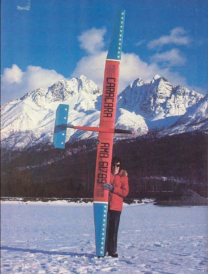 CARACARA Sailplane, Glider, 126 inch  WS RC AIrplane Prined Plans & Templates   - Image 1 of 4