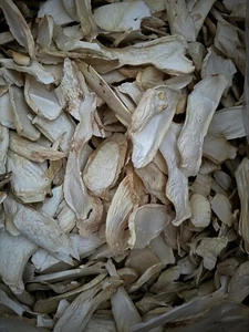Kräuterseitlinge - getrocknet 100g Packung - Bild 1 von 2